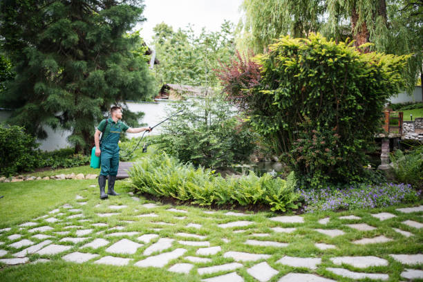 Best Local Pest Control Services  in Senath, MO