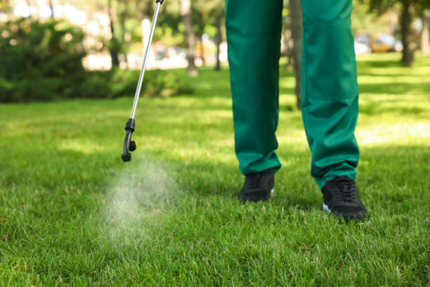 Professional Pest Control in Senath, MO