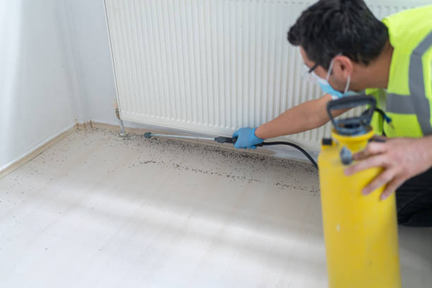 Best Emergency Pest Control  in Senath, MO